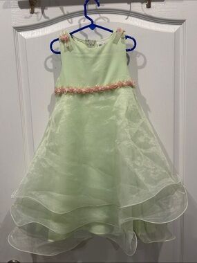 Rare Editions Mint Green Organza Party Dress with Pink Flower Trim 5